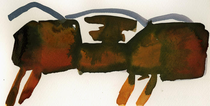 Rusinà, paesaggio, 2012